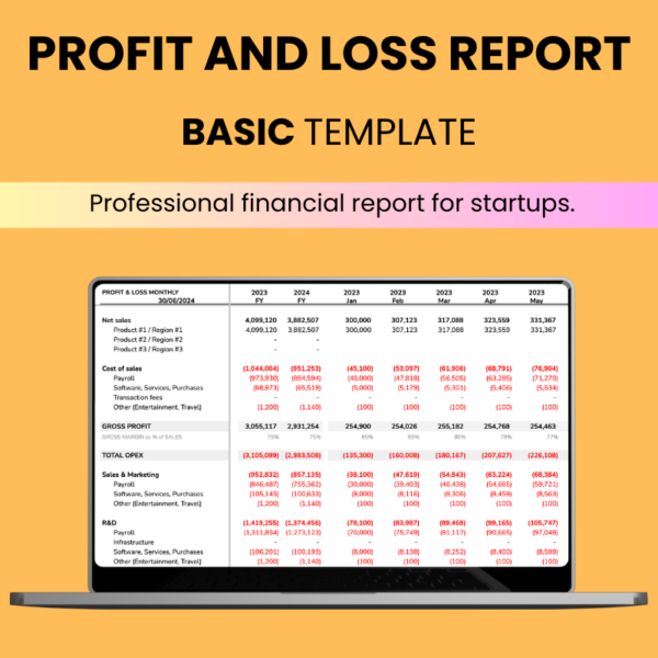 Financial Report BASIC